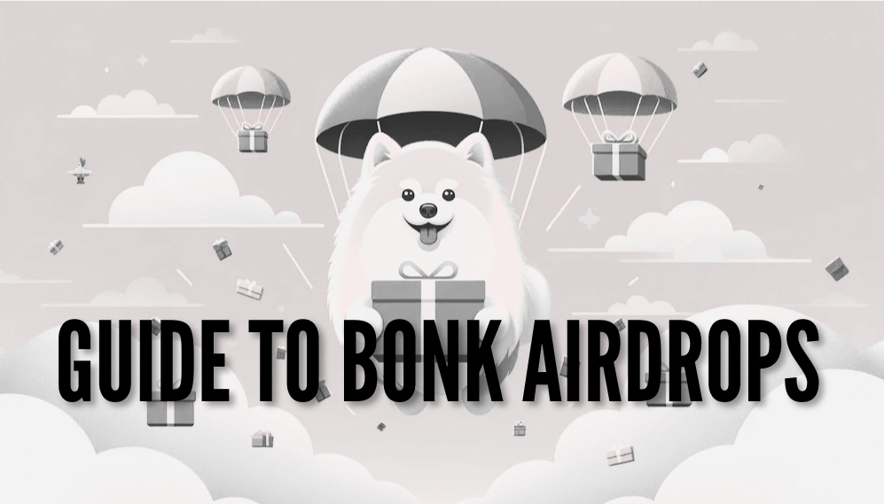 You are currently viewing Your Complete Guide to the Bonk Airdrop